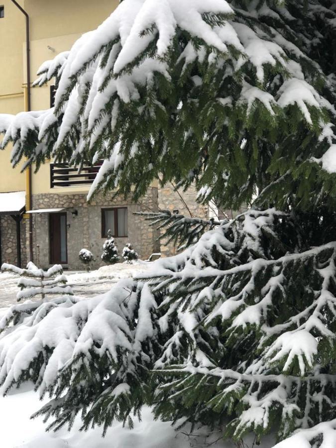 Ferienwohnung Apartament Nicolle Poiana Brașov Exterior foto